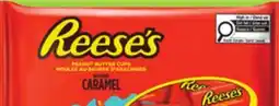 IGA REESES TREATS offer