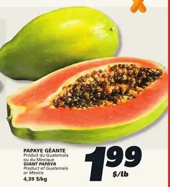 IGA GIANT PAPAYA offer