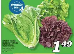 Marché Richelieu LAITUE EN FEUILLES ROUGES OU VERTES OU LAITUE ROMAINE | RED OR GREEN LEAF LETTUCE OR ROMAINE LETTUCE offer