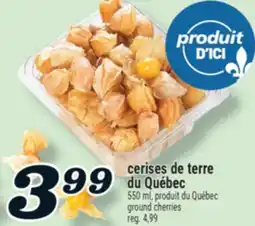 Marché Richelieu CERISES DE TERRE DU QUÉBEC | GROUND CHERRIES offer