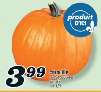 Marché Richelieu CITROUILLE | PUMPKIN offer