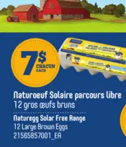 Provigo Naturoeuf Solaire parcours libre 12 gros œufs bruns | Naturegg Solar Free Range 12 Large Brown Eggs offer