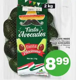 Marches Tradition HASS AVOCADOS offer