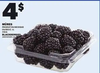 Provigo BLACKBERRIES, 170 G offer