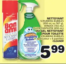 Marches Tradition WINDEX (765 mL) OR FANTASTIK (650 mL) SCRUBBING BUBBLES CLEANER offer