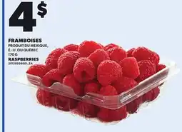 Provigo RASPBERRIES, 170 G offer