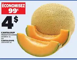 Provigo CANTALOUPE offer