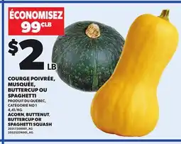 Provigo ACORN, BUTTENUT, BUTTERCUP OR SPAGHETTI SQUASH offer