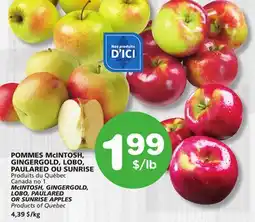 Marches Tradition McINTOSH, GINGERGOLD, LOBO, PAULARED OR SUNRISE APPLES offer