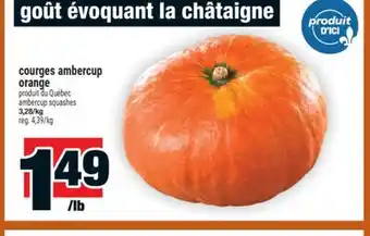 Super C courges ambercup orange | ambercup squashes offer