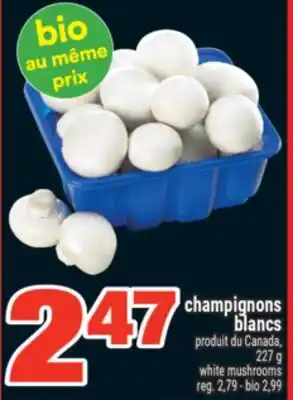 Super C champignons blancs offer