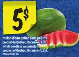 Maxi MELON D'EAU ENTIER SANS PÉPINS | WHOLE SEEDLESS WATERMELON offer