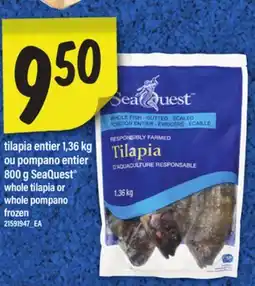 Maxi TILAPIA ENTIER OU POMPANO ENTIER SEAQUEST , 800 G| WHOLE TILAPIA OR WHOLE POMPANO offer