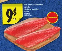 Maxi FILET DE TRUITE STEELHEAD | STEELHEAD TROUT FILLET offer