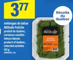 Maxi MÉLANGES DE LAITUE ATTITUDE FRAÎCHE LETTUCE BLENDS, 142 G offer