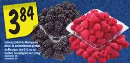 Maxi MÛRES OU FRAMBOISES, 170 G offer