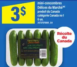 Maxi MINI-CONCOMBRES DÉLICES DU MARCHÉMCMC, 6 UN offer