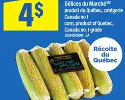 Maxi MAÏS EN ÉPIS DÉLICES DU MARCHÉ | CORN offer