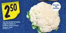 Maxi CHOU-FLEUR | CAULIFLOWER offer