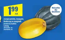 Maxi COURGE POIVRÉE, MUSQUÉE, BUTTERCUP OU SPAGHETTI offer