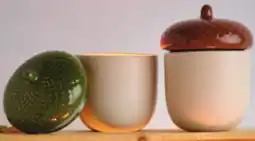 Giant Tiger acorn candle offer