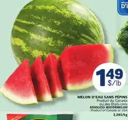 Marché Bonichoix SEEDLESS WATERMELON offer