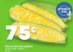 Marche Ami Maïs épis deux couleurs offer