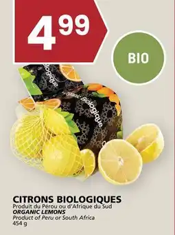 Rachelle-Bery Grocery ORGANIC LEMONS offer