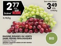 Rachelle-Bery Grocery ORGANIC SEEDLESS GREEN OR RED GRAPES offer