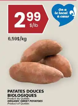 Rachelle-Bery Grocery ORGANIC SWEET POTATOES offer