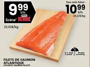 Rachelle-Bery Grocery ATLANTIC SALMON FILLETS offer