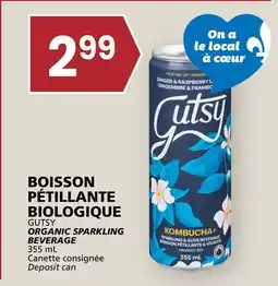 Rachelle-Bery Grocery GUTSY ORGANIC SPARKLING BEVERAGE offer