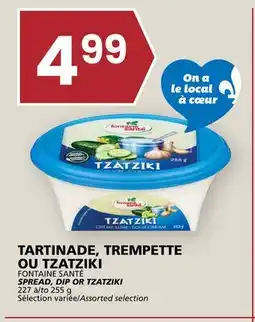 Rachelle-Bery Grocery FONTAINE SANTÉ SPREAD, DIP OR TZATZIKI offer