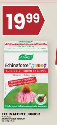 Rachelle-Bery Grocery A. VOGEL ECHINAFORCE JUNIOR offer