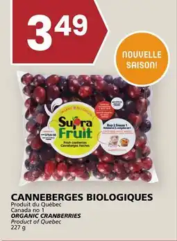 Rachelle-Bery Grocery ORGANIC CRANBERRIES offer