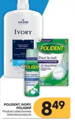 Brunet POLIDENT, IVORY, POLIGRIP Produits sélectionnés offer