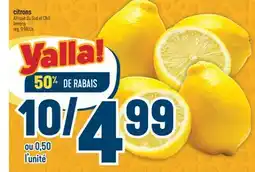 Marché Adonis CITRONS | LEMONS offer