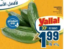 Marché Adonis CONCOMBRES LIBANAIS | LEBANESE CUCUMBERS offer