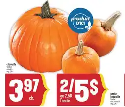 Marché Adonis CITROUILLE | PUMPKIN offer