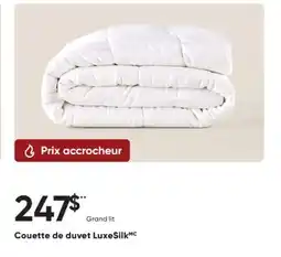 Dormez Vous Couette de duvet LuxeSilk offer
