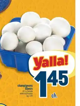 Marché Adonis CHAMPIGNONS BLANCS | WHITE MUSHROOMS offer