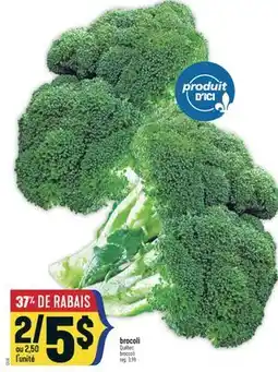 Marché Adonis BROCOLI | BROCCOLI offer