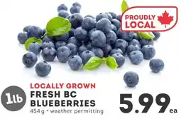 IGA Fresh BC blueberries offer