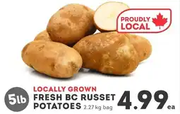 IGA Fresh bc russet potatoes offer