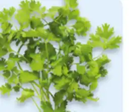 Walmart Mint or cilantro offer
