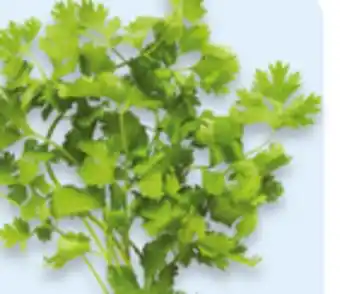 Walmart Mint or cilantro offer