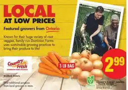 No Frills FARMER'S MARKET CARROTS or YELLOW ONIONS offer