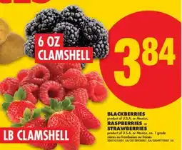 No Frills BLACKBERRIES, RASPBERRIES or STRAWBERRIES offer