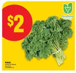 No Frills KALE offer
