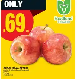 No Frills ROYAL GALA APPLES offer